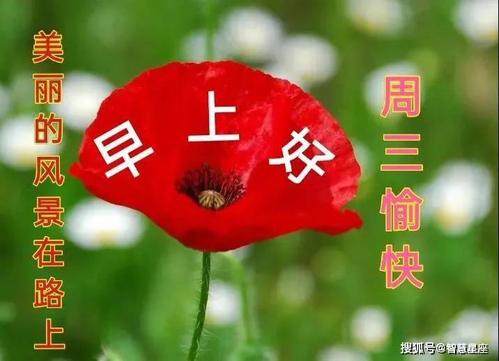 2021年7月28日星期三漂亮早上好问候动态表情图片带字