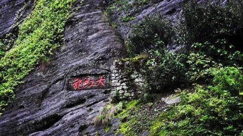 元代御茶园——福建武夷山茶旅明星景区指南