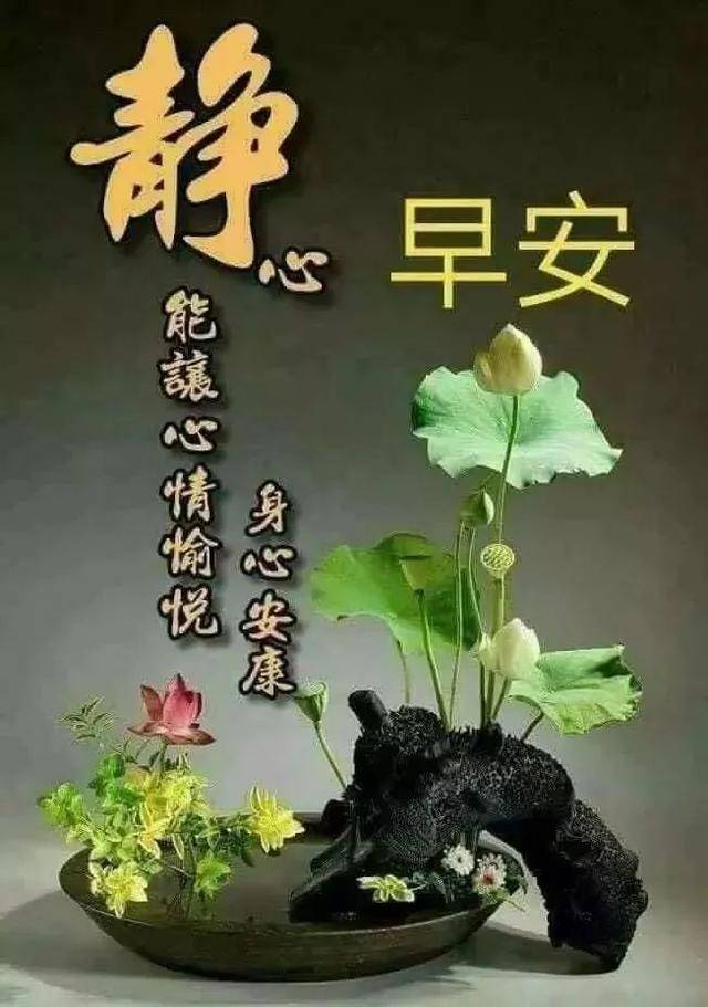 原创2021朋友圈正能量语录动态图片带字早上好问候温馨说说句子