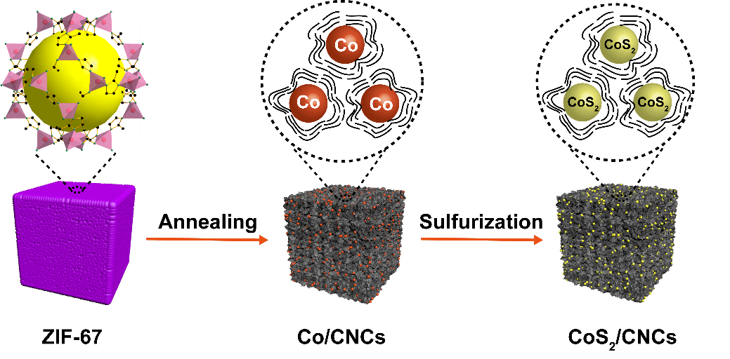 将cos2纳米颗粒浸渍在结构良好的碳纳米立方体(表示为cos2/cncs)中