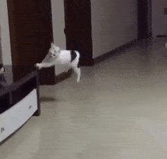 什么「前手翻直体前空翻转体180度」,「踺子后手翻转体180度接前直