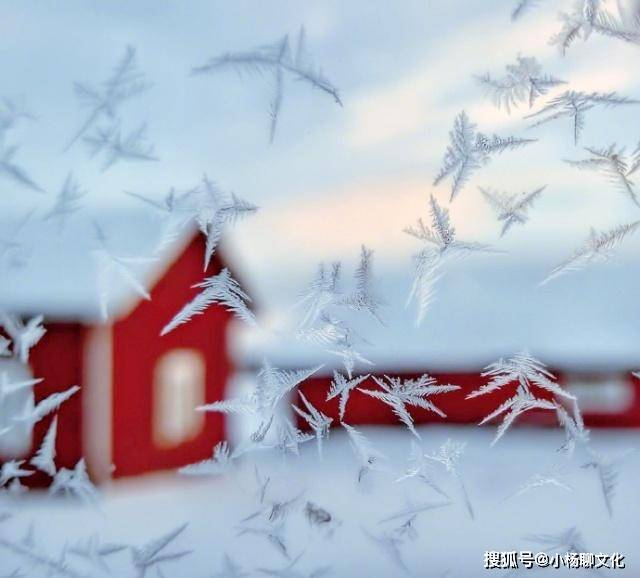 原创关于下雪的唯美句子,沁人心脾,让人一看就爱上了!