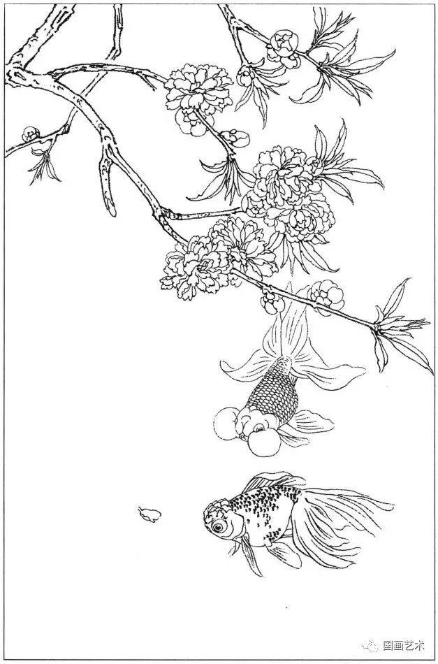 花鸟鱼虫白描画谱分享