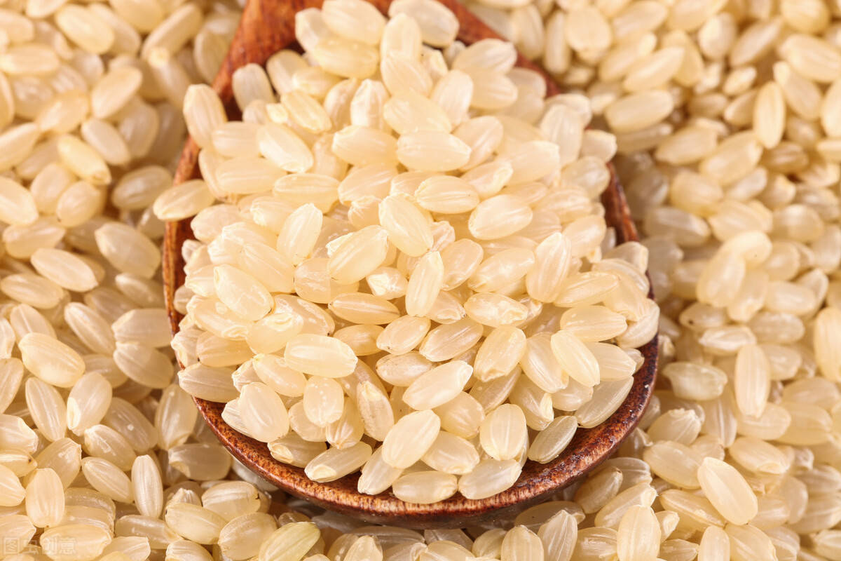 吉林单氏米业:糙米,胚芽米,精米之间的关系原来是这样