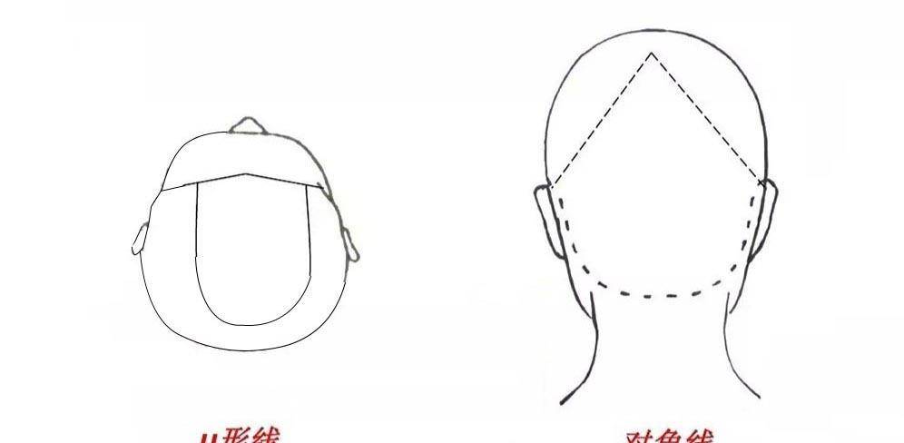 发型师必修课,发型基础理论知识,发型的科学分区