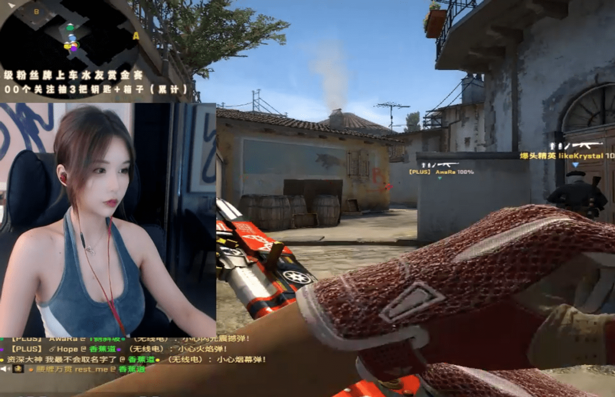 新人csgo女主播开播颜值实力同步在线网友顶流大主播