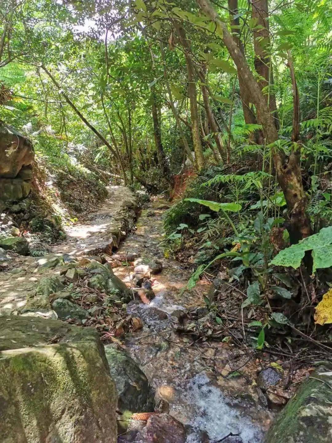 灵龙谷游玩攻略,好玩养生休息地方_景区