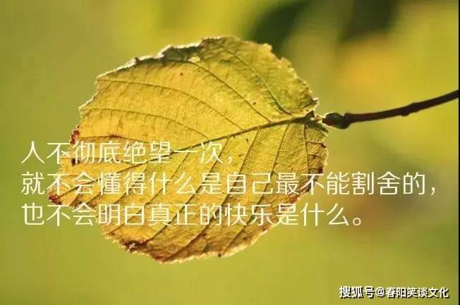 2021最深入人心的说说,经典至极,让人过目不忘