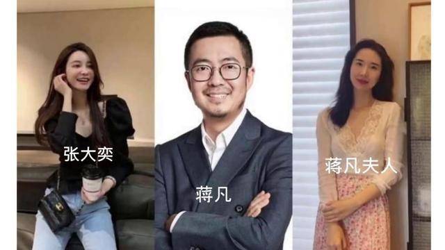 网红张大奕如何搞垮阿里"太子"蒋凡?后来的他们怎么样