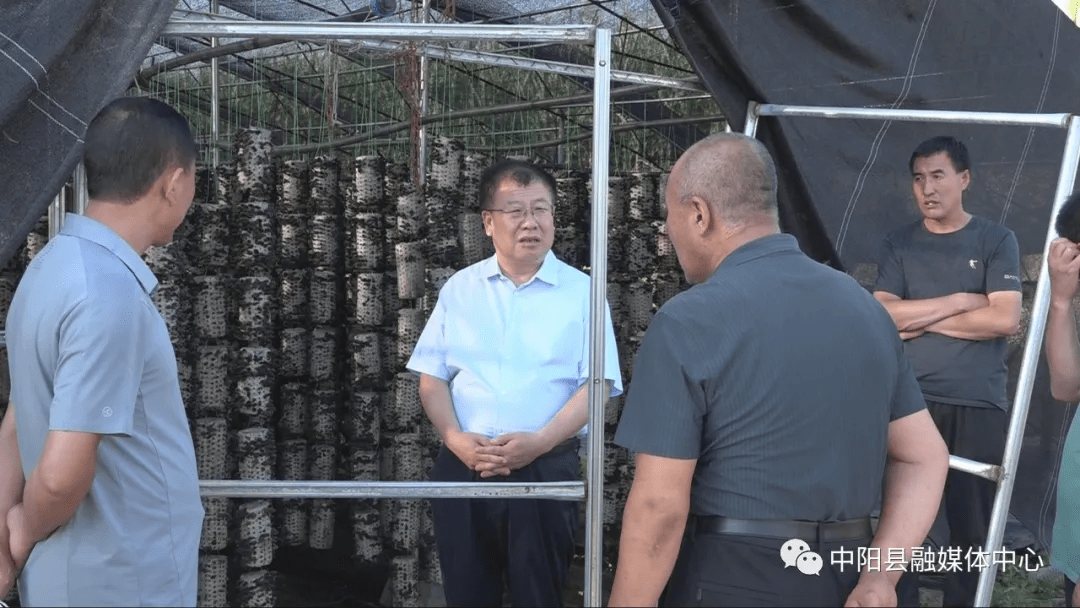 中阳:高青山就巡河,疫情防控等工作进行检查开展"我为