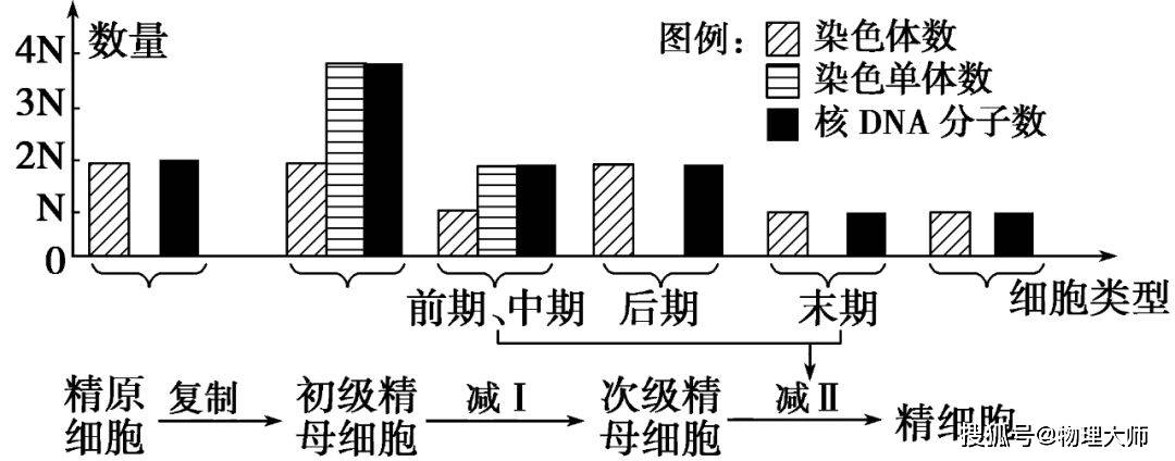 高中生物知识点细胞的生命历程减数分裂和受精作用