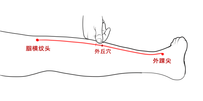 外丘穴位于小腿外侧腘横纹头与外踝尖连线终点,向下一横指处即是外丘