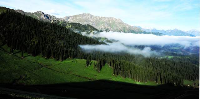 乌鲁木齐南山风景区(图据网络)