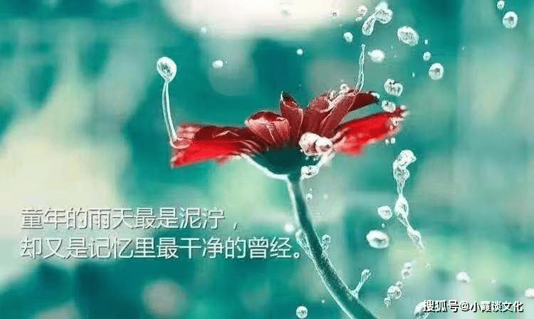 2021年心情图片,2020心情图片大全唯美 2021年网上很火的心情语录,句句深入人心,发朋友圈句句刷屏