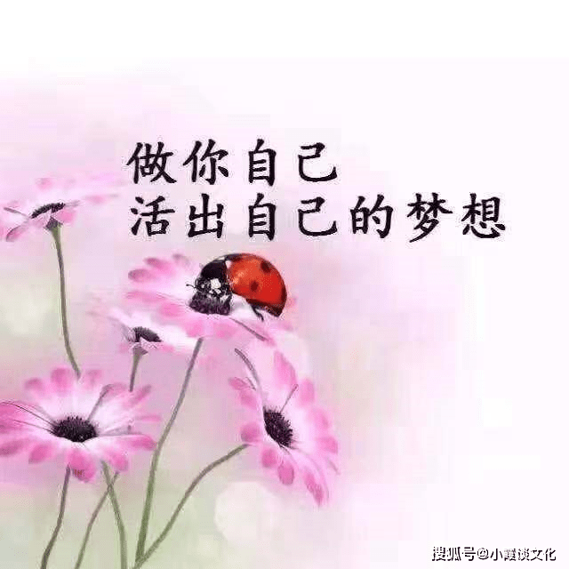 点赞率最高的qq说说,精辟噎人,让人忍不住分享