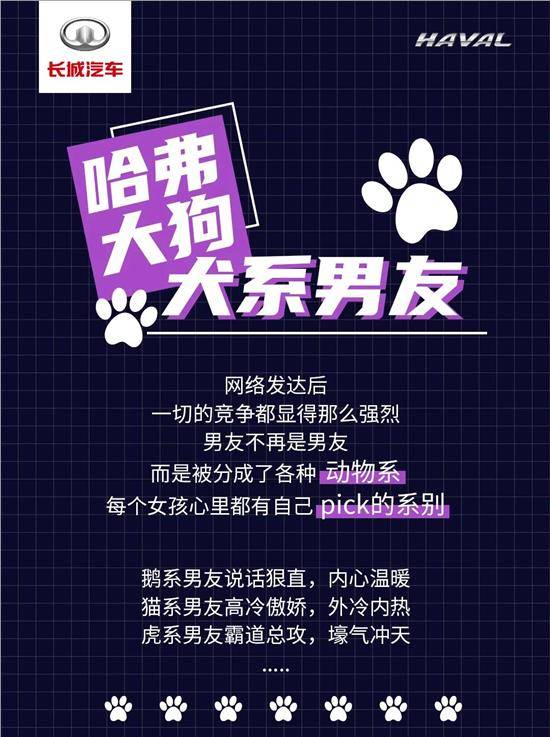 犬系男友(教你少走弯路)哈弗大狗