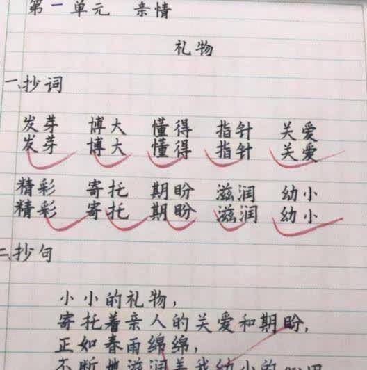 原创小学生豆腐块字体走红大学生自愧不如莫非吞了打印机