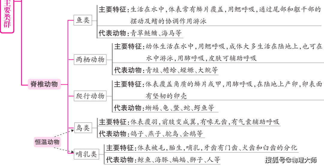 初中生物各章节概念知识框架图收藏