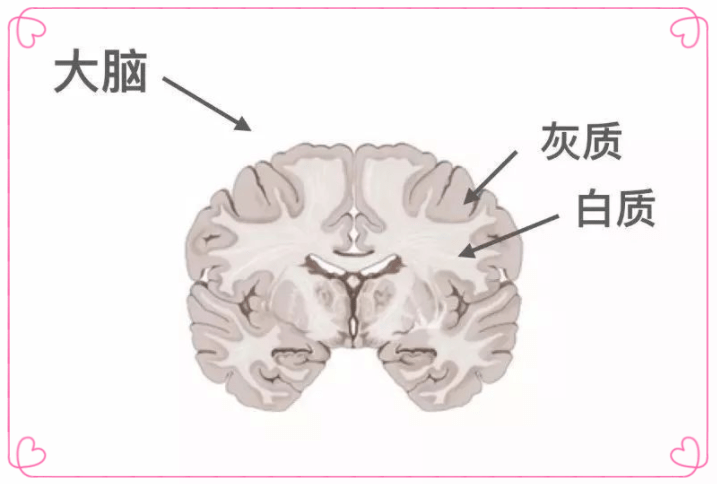 ＂一孕傻三年＂并非表面那么搞笑,孕妈若不想受影响,该怎样做？