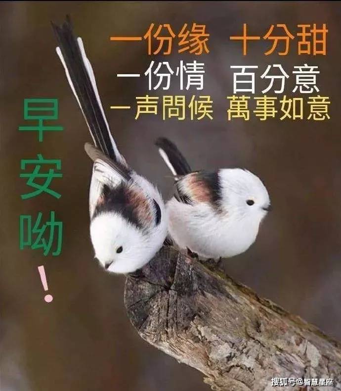 2021年8月28日秋天最新早晨好问候表情图片 最美早安问候图片带字温馨