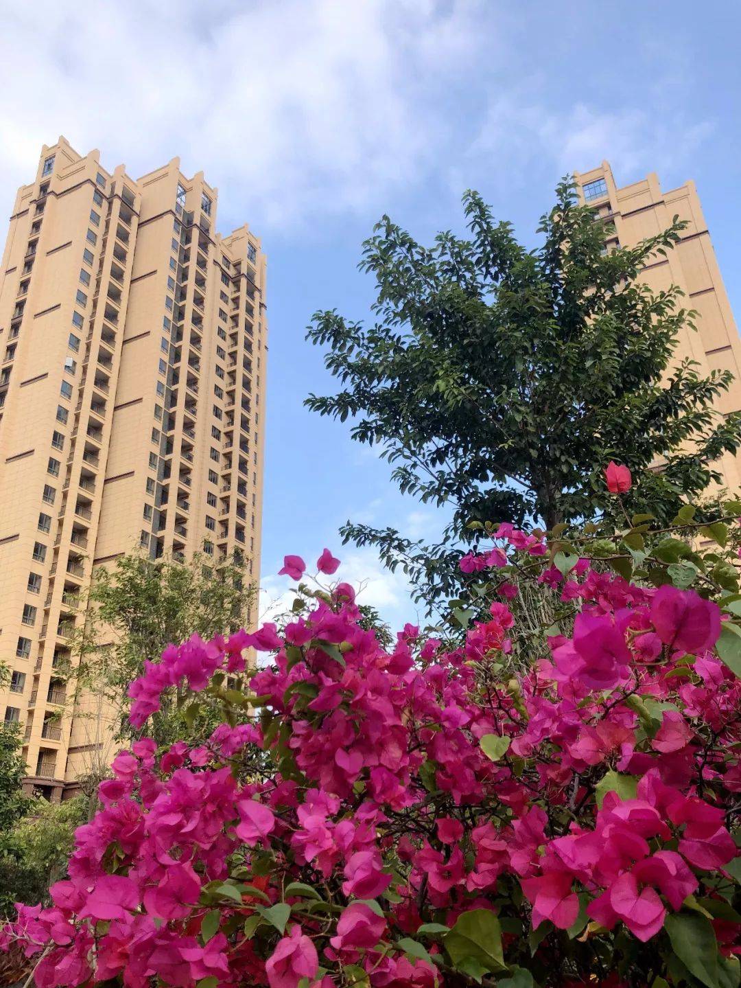 漳浦海西如意城彻彻底底火了大家千万别被套路了聊聊个人感受