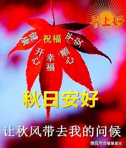 7张最美秋天枫叶早上好图片带字带祝福语 秋日早安关心问候暖心祝福语