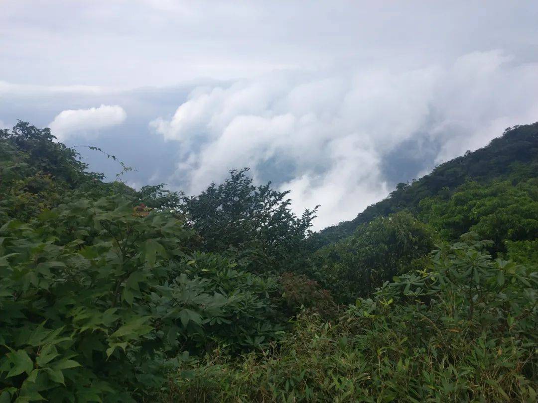 原创广西兴安老山界风光欣赏