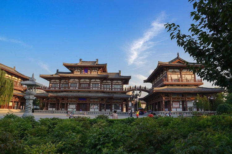 原创青龙寺:西安一座"樱花寺庙",向你展示曾经的大唐盛世