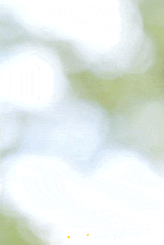335_500 竖版 竖屏