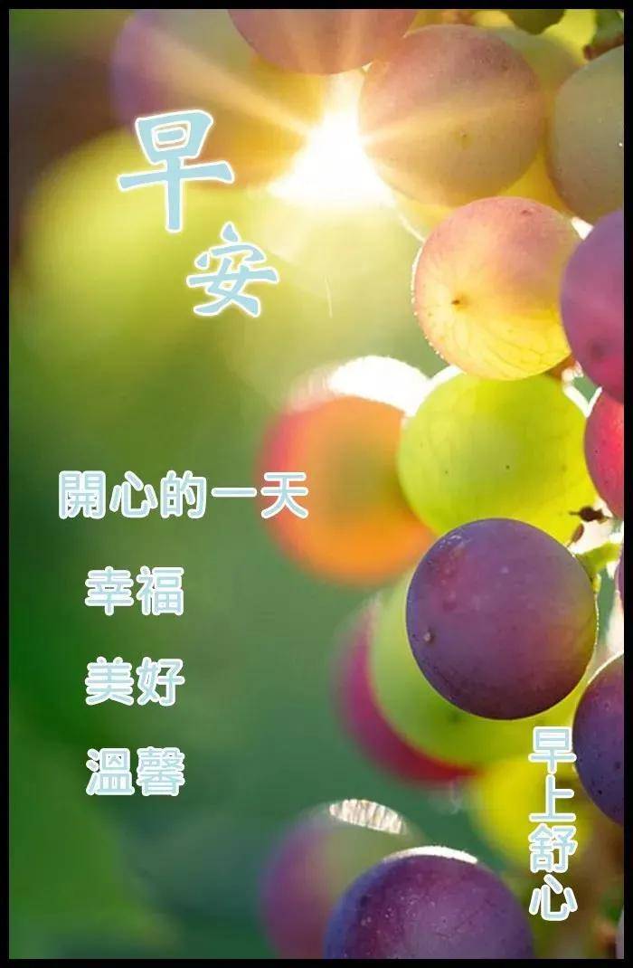 8张白露节气最新创意好看早安带祝福语 免打字白露早上好问候祝福图片