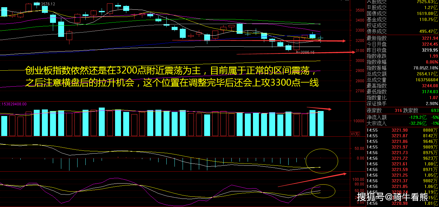 a股b股h股n股和s股_个股动态_600275股最近动态