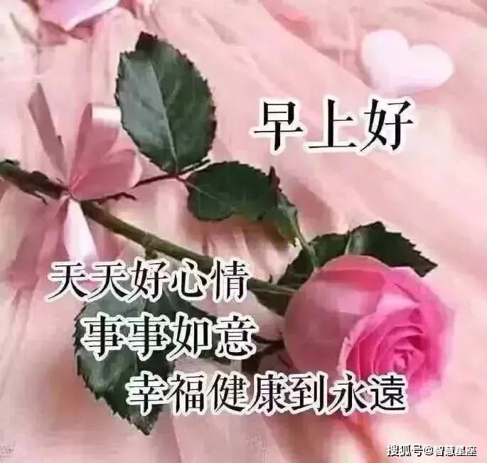 9月11日星期六早上好问候语图片大全 秋天早上好祝福表情动态图