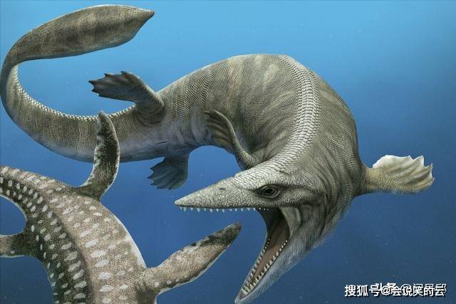 恐龙时代的顶级海洋掠食者海中捕猎所向披靡