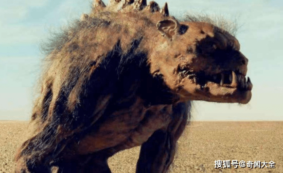 犼是什么动物 来自搜狐网