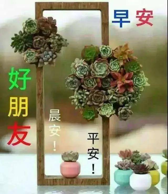 8张秋天清晨早安早上好祝福语图片大全免打字 秋日语