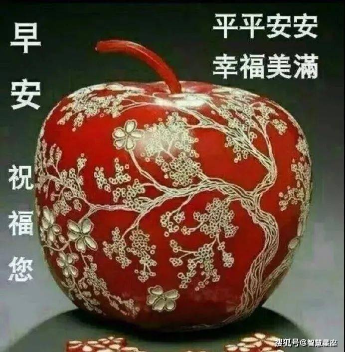 9月19日清晨最美早上好鲜花图片问候语,最新版早上好漂亮表情图片祝福