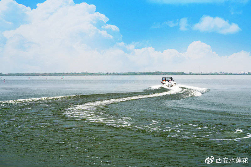 大漠戈壁之雄浑 江南水乡之秀美 沙山与湖水融合 畅游宁夏沙湖