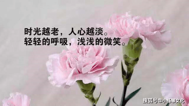 2021发朋友圈最经典的话语,句句扣人心弦,保证你看完必赞