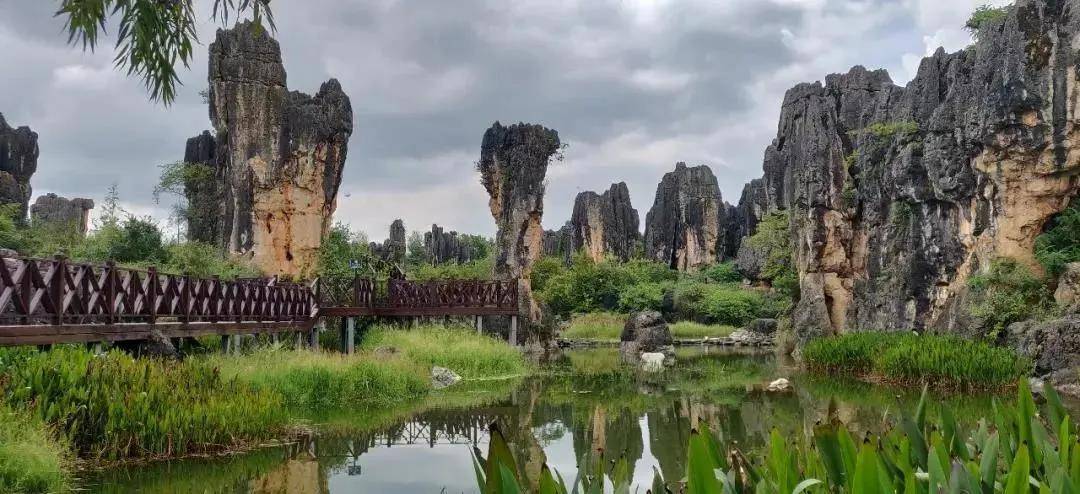 赏醉美昆明秋,观石林奇景,昆明石林旅居基地包吃住660元一人