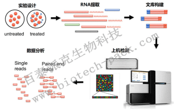 转录组测序