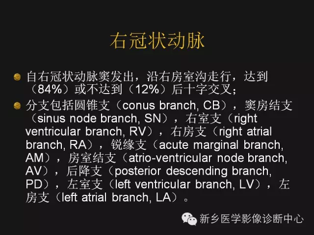 建议收藏!冠状动脉解剖:精细到每一个分支