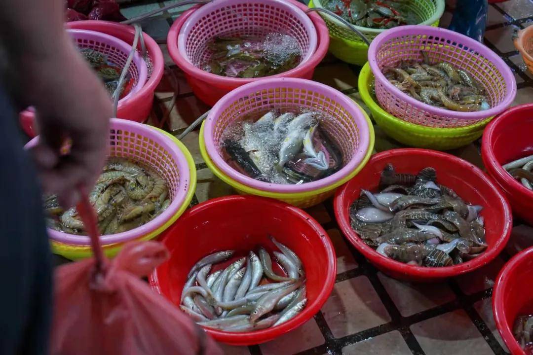 迎春花开尝虾姑,开年新春煮"湿斗;清明时节品海胆