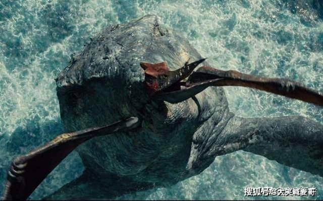 巨齿鲨和沧龙对决谁才是真正的史前海洋霸主