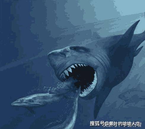 巨齿鲨号称海洋王者,无人能敌?科学家:它只是没碰上这