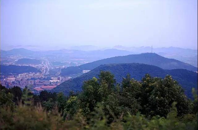 江夏八分山变"垃圾山",真的是景点管理不到位的原因吗