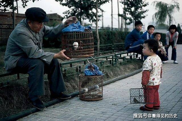 老照片 1986年北京的老人 遛鸟晒太阳打太极_顾客