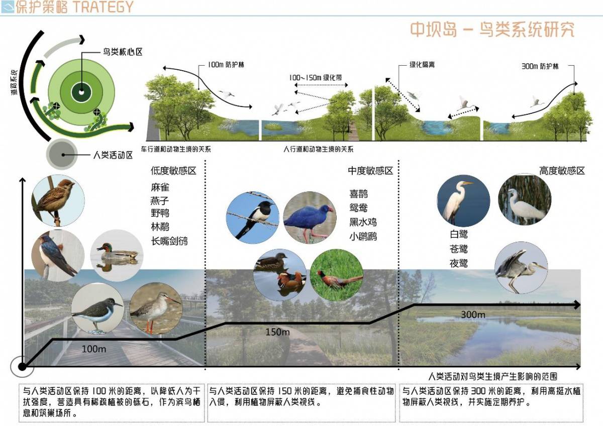 世界人居网·精品丨重庆木洞:中坝岛生态保护修复工程_自然环境