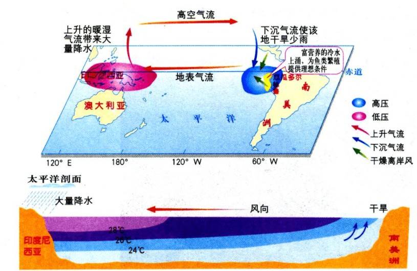 厄尔尼诺现象发生时