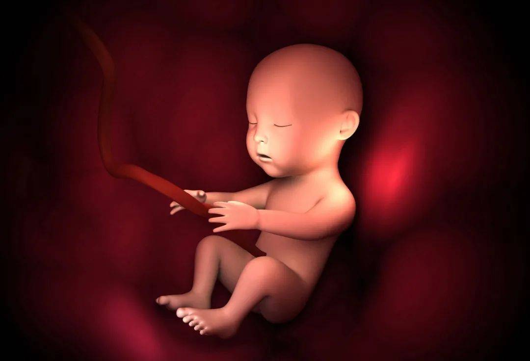 为什么胎儿会出现脐带绕颈？和这两个＂坏习惯＂有关,孕妈要注意