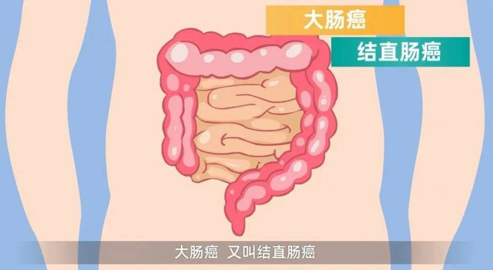 其次肠蠕动的功能也很关键,人体的大肠小肠都会一直蠕动,所以食物不会